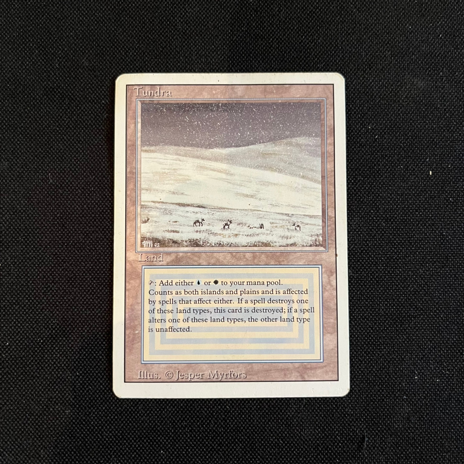 MTG Tundra② s-l1200.jpg