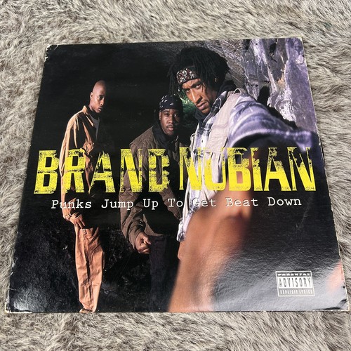 HIPHOP LP Brand Nubian　NICE & SMOOTH Hip-Hop Nostalgia: Brand Nubian 
