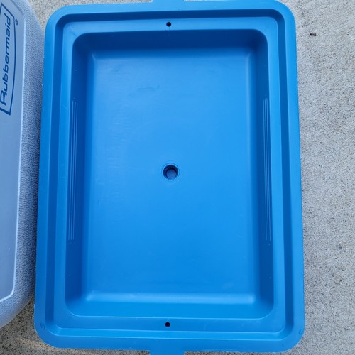 Vintage Rubbermaid GOTT Lunch Box/Cooler #1806 Blue Lid w/Bottle *No Screw*