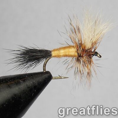 1 dozen (12) - Ausable Wulff