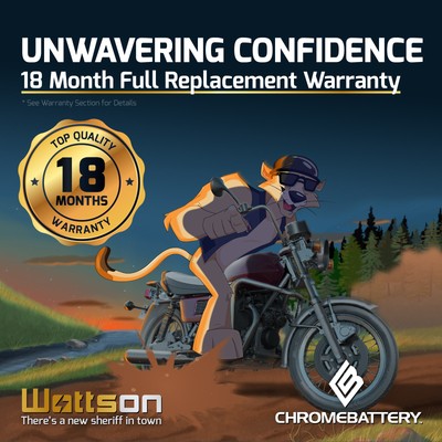 YTX20CH-BS High Performance - Maintenance Free - Sealed AGM Motorcycle Battery