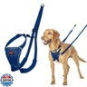 Halti No Pull Harness - Stop Your Dog Pulling on The Leash. Adjustable, Lightweight and Easy to Use. Reflective Dog Training Harness for Medium Dogs (Size M, Cobalt Blue)