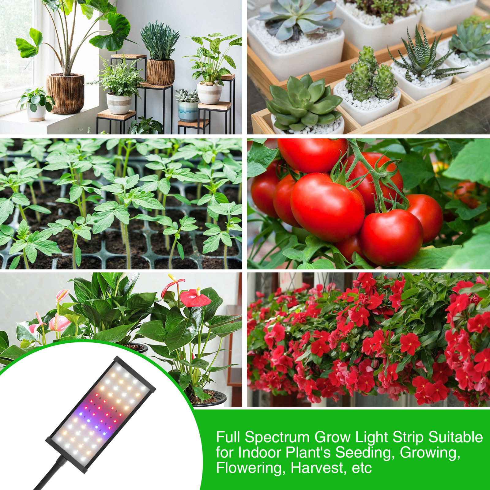 LED Grow Light with Stand for Indoor Plants Full Spectrum Plant Grow Lamp 4 Head