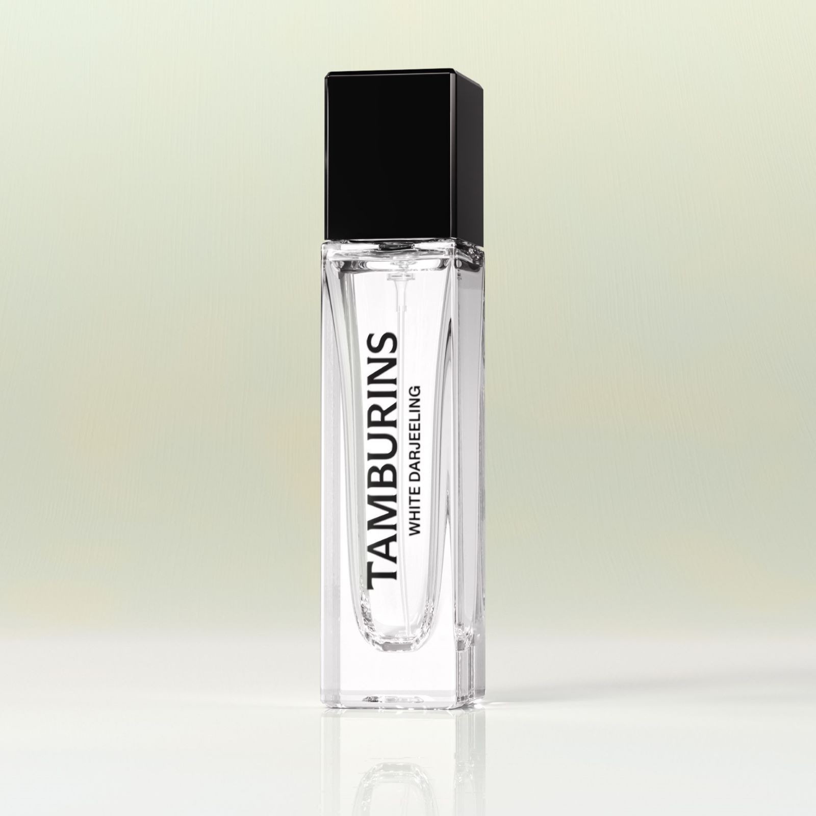 TAMBURINS （WHITE DARJEELING） Tamburins WHITE DARJEELING Perfume 50ml / 1.69oz White