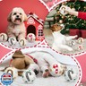Syhood 60 Pcs Christmas Snowball Dog Toys Squeaky Christmas Snowball Fight Plush Toys for Xmas Indoor Outdoor Santa Elk for Small and Middle Pet Chew Pets Gifts (Candy Canes)