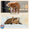Scsuupoee Cat Toys Interactive for Indoor, Cats Toy Hanging Door Electric for Bored, Feather Toy Kitten Rechargeable Door Hanging Automatic String with 4pcs Feather Toys, White
