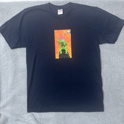 Supreme x MIKE HILL SS17 Brains Tee 白 Size LARGE Supreme x MIKE HILL SS17 Brains Tee 白 Size LARGE (Supreme/T