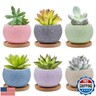 6 Pack Ceramic Succulent Pots with Drainage – Small Round Planters for Indoor Plants and Cactus, Mini Flower Pots with Bamboo Trays, Desk and Home Décor, Gift for Plant Lovers, Office, Balcony, Garden