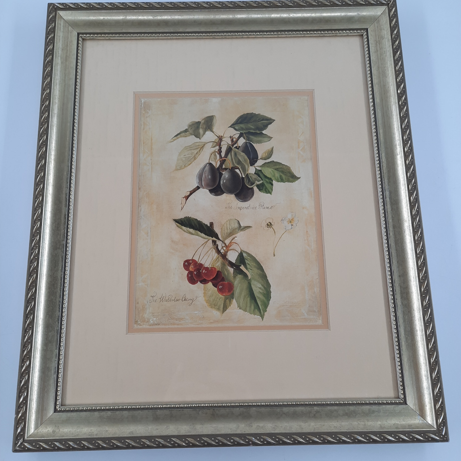 ファブリス・ドゥ・ヴィルヌーブ　Fabrice De Villeneuve Fabrice De Villeneuve Botanical Prints on Canvas, a Set of 3