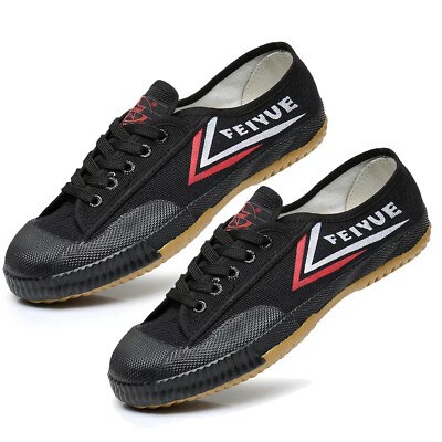 Scarpe Feiyue allenamento Arti Marziali KungFu Wushu Shaolin Martial Art Kung Fu