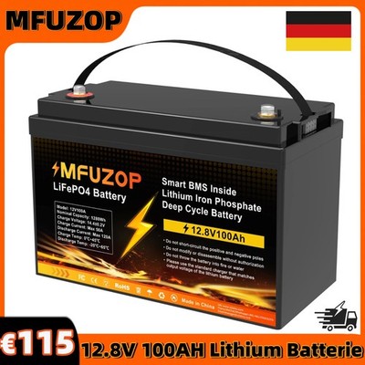 12V 100Ah LiFePo4 Akku Lithium Batterie BMS Solaranlage Wohnmobil Solarbatterie
