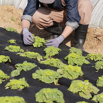 VEVOR Geotextile Fabric 10x100FT 8OZ Ground Cover Weed Control Fabric Non-Woven