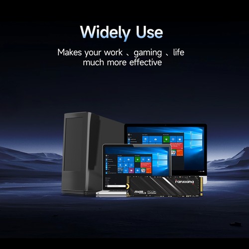  Fanxiang NVMe M.2 SSD 1TB 2TB 256GB 512GB 2280 PCIe Gen 3 PC Desktop 10Pack LOT