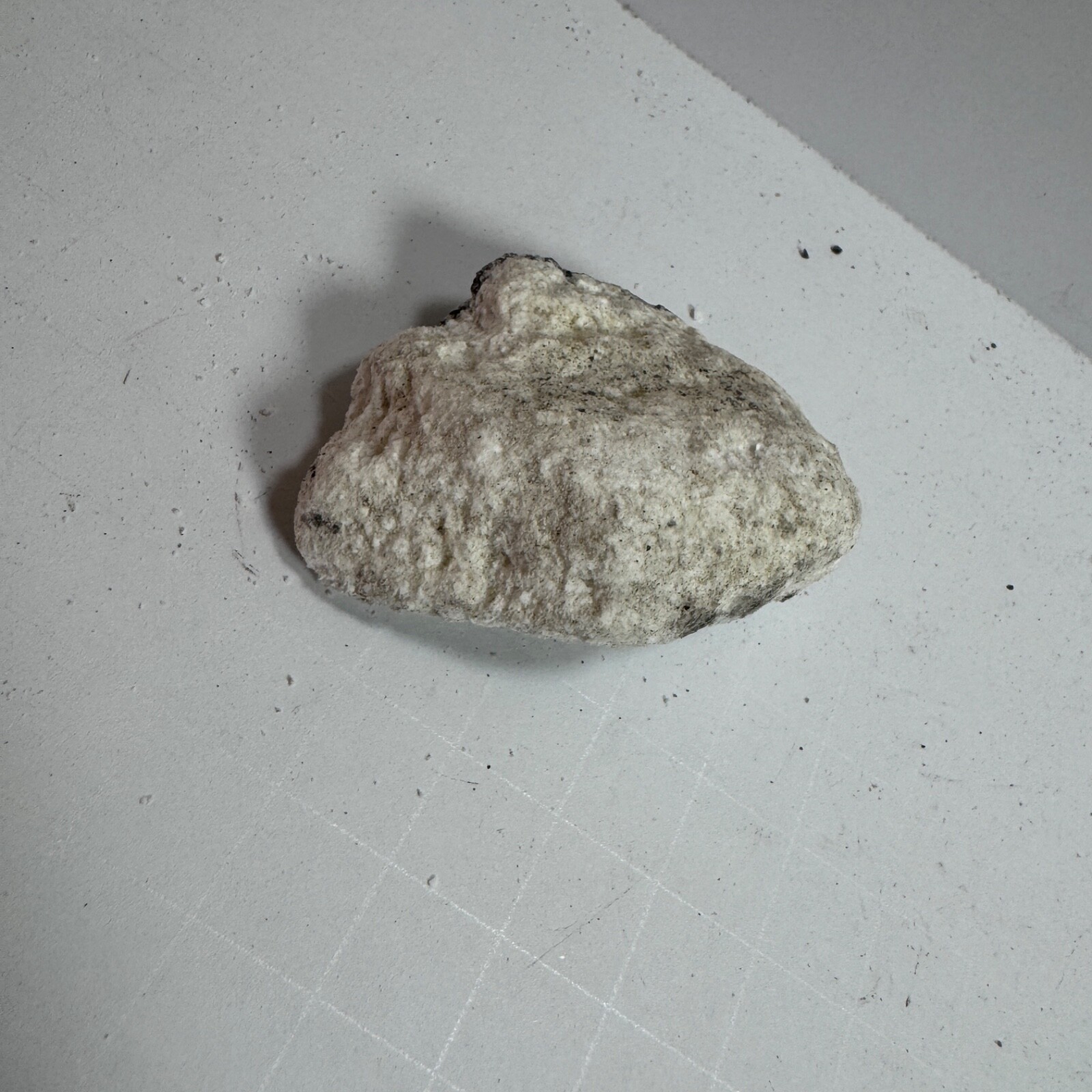 Picture 4