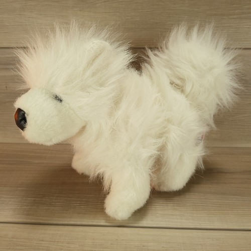 $_12.JPG?set_id=880000500F