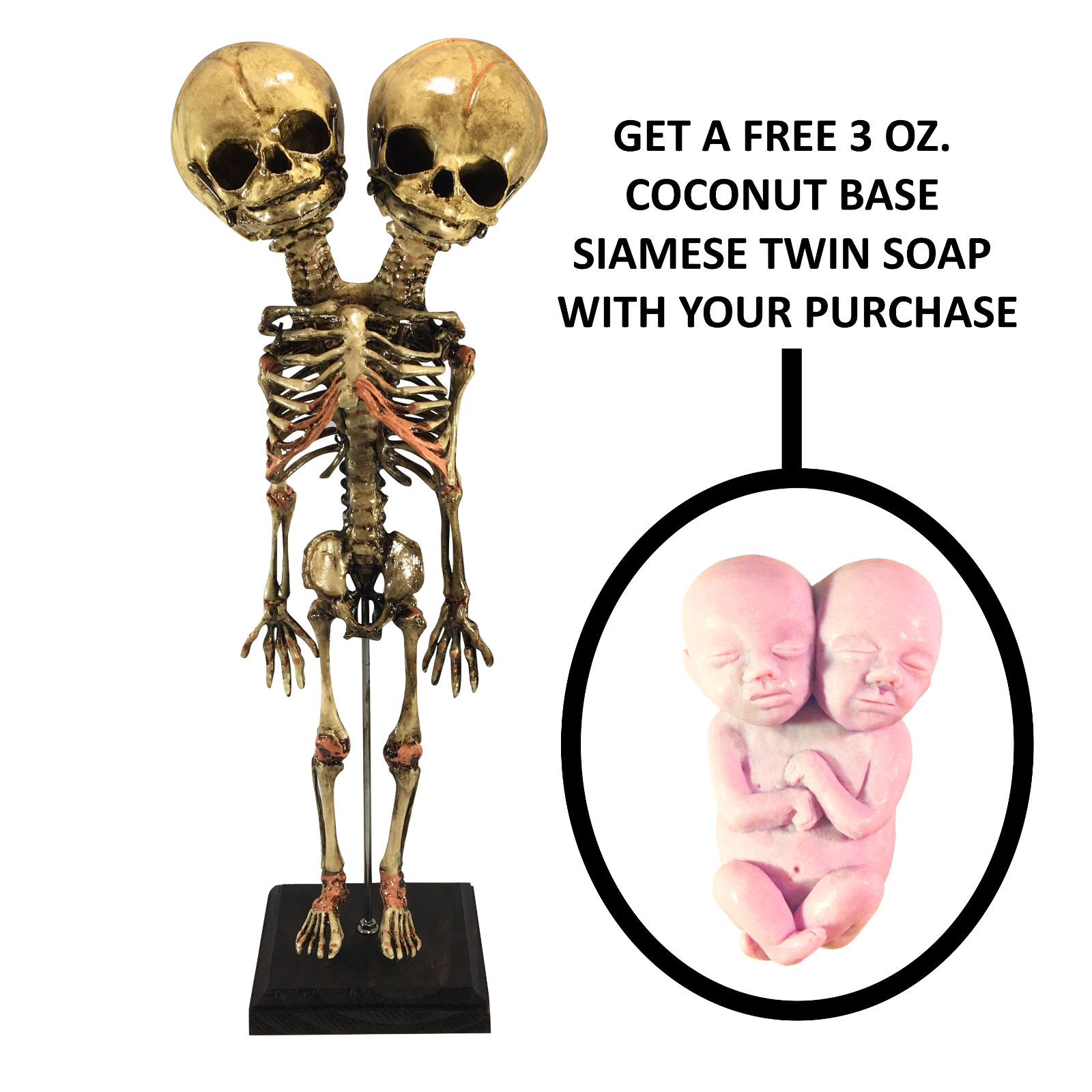 $_57.PNG?set_id=8800005007