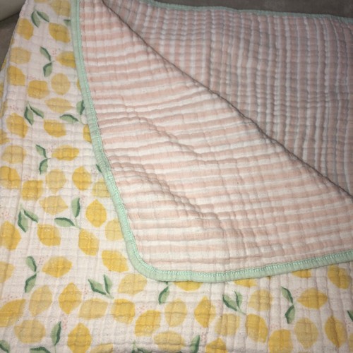 Lemons Pink Stripes Green Border 38” 2020