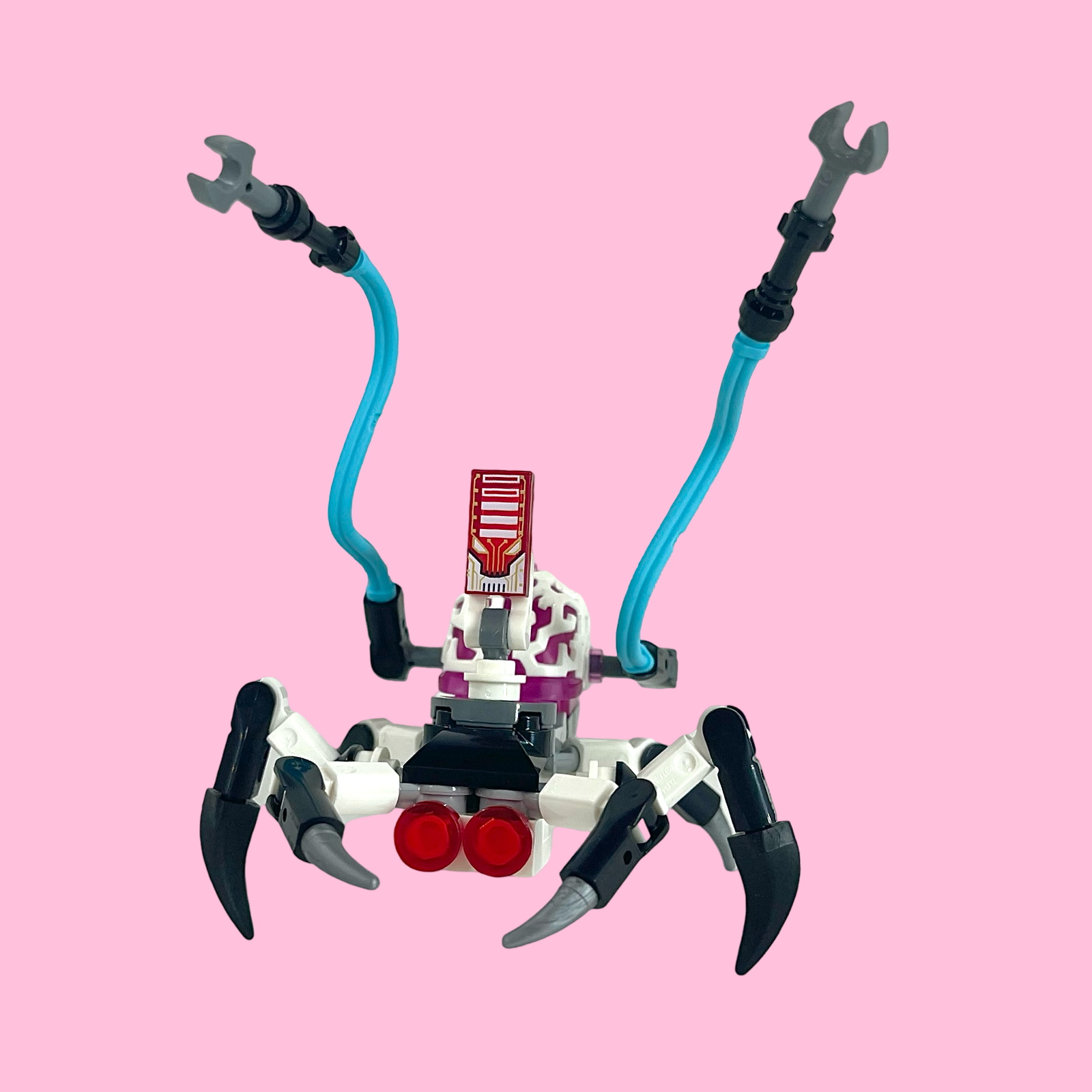 「DREAM」 $_57.PNG?set_id=880000500F