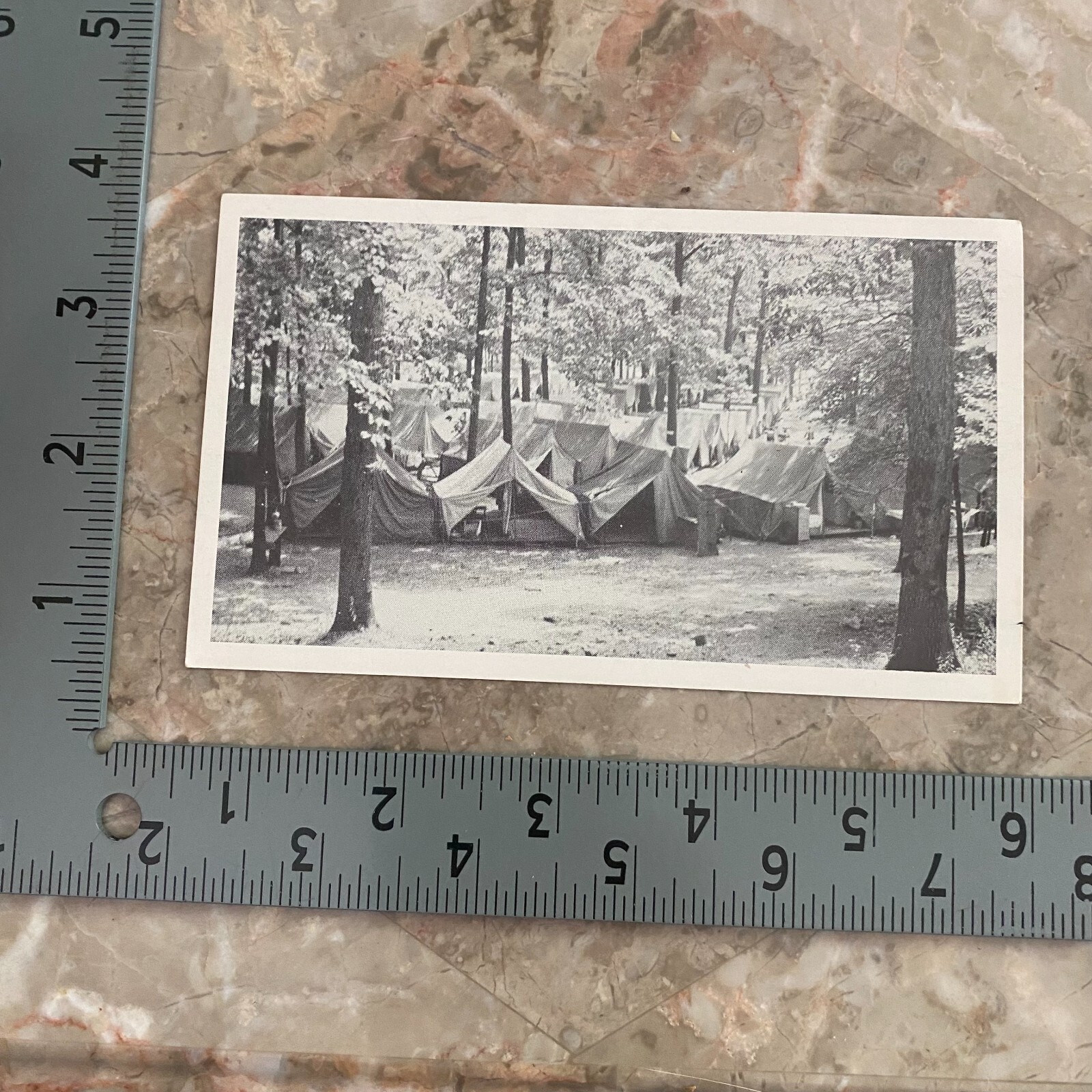 Black White Photo Postcard Mizpah Grove M.B. in C. Camp Grounds Allentown PA