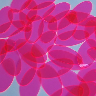 Oval Vinyl Shape 1.5'' Hot Pink Go Go Fluorescent Edge Glow