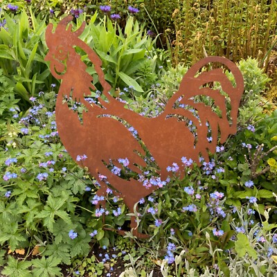 Rusty Chicken for sale in UK 53 used Rusty Chickens
