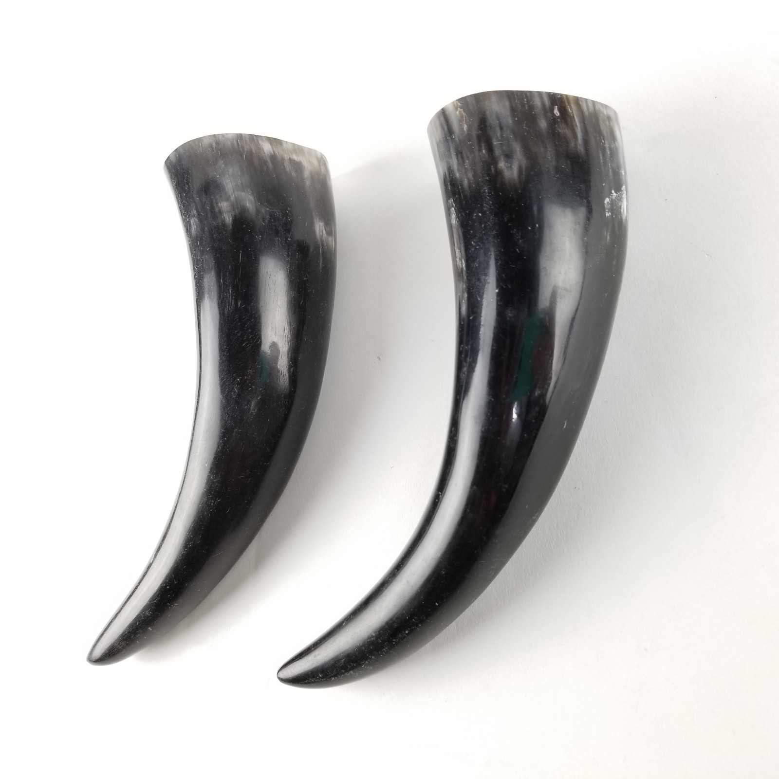 Polished Steer Cow Horn Lot of 2 Black Natural Markings Curved Taxidermy Crafts