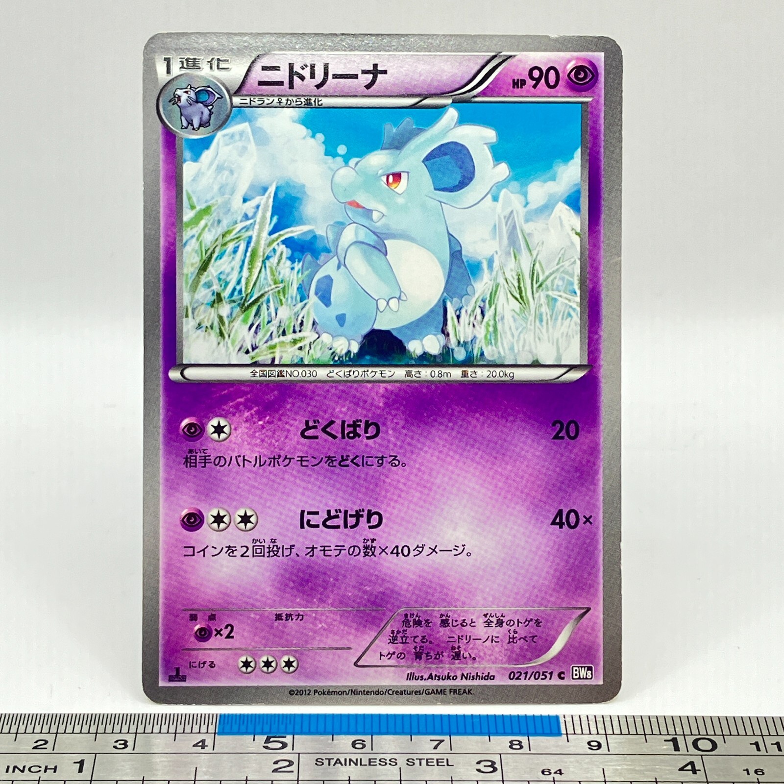 アメリカ購入品 Nidorina Nidorina Pokemon Card 021/051 BW8 2012 1st Ed Game Freak TCG