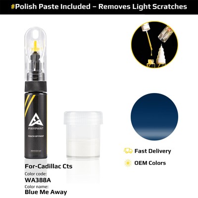 Touch Up Paint For Volkswagen Cts WA388A Blue Me Away With Polish Paste