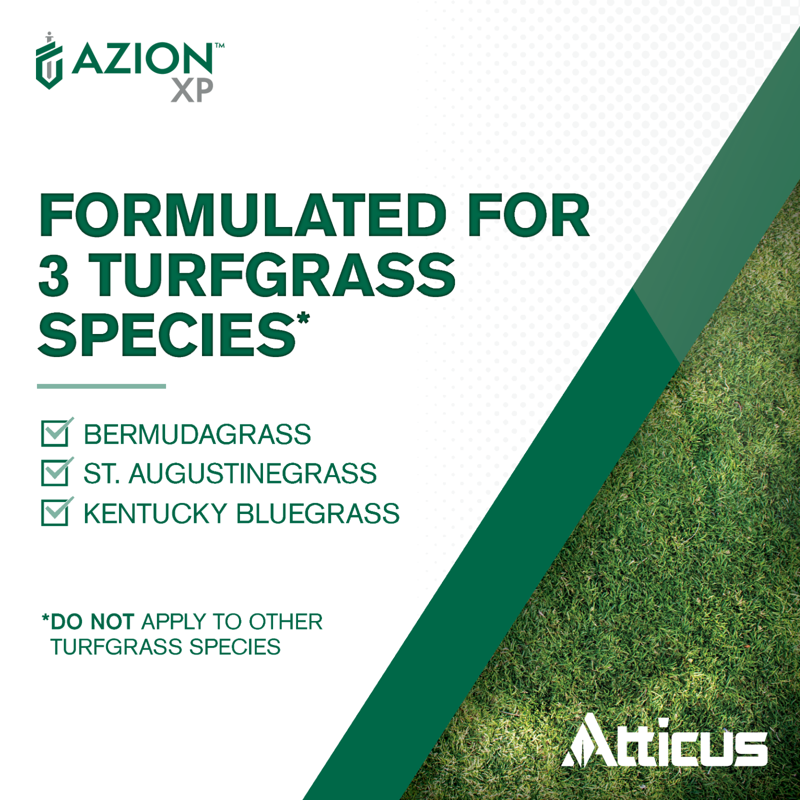 Azion XP Herbicide (8 oz) - Compare to Escort XP - MSM - Weed & Brush Control