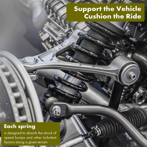 2x Coil Springs for Ford Expedition 1997-2002 Lincoln Navigator 98-02 4WD Rear