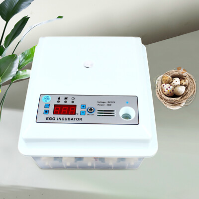Egg Incubator Automatic Chicken Quail Chick Hatcher Incubators for Hatching Eggs