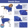 Queenmore Small Dog Sweater,Warm Pullover Dog Sweaters for Small Dogs Boys Girls,Soft Winter DogSweaters,Thick Warm Dogs Clothes for Chihuahua, Bulldog, Dachshund, Pug, Yorkie(Royal Blue,S)