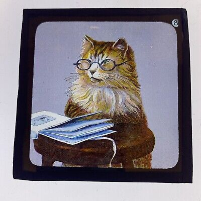 Antique Magic Lantern Slide Comical Cats And Dogs Cat Reading Book