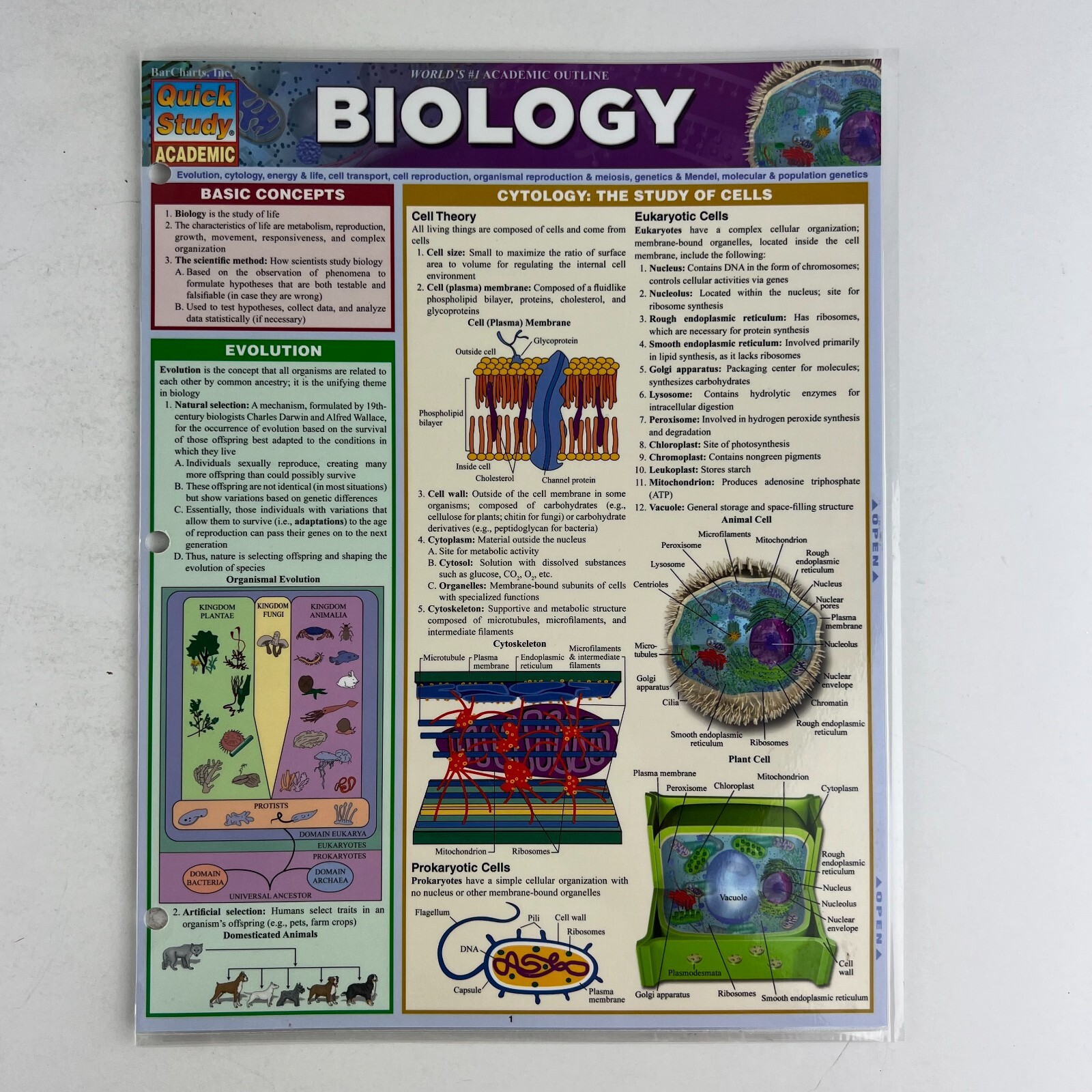 BIOLOGY Quick Study ACADEMIC 生物学 BarCharts Quick Study Academic Guides BIOLOGY Laminated