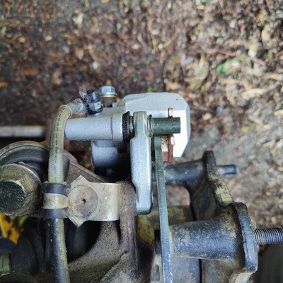 Fotos del artículo de un comprador verificado