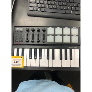 Worlde Panda Mini Keyboard  Keyboards & Pianos  Gumtree Australia