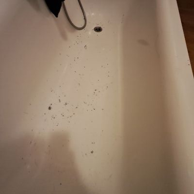 Foto dell'oggetto di un acquirente verificato