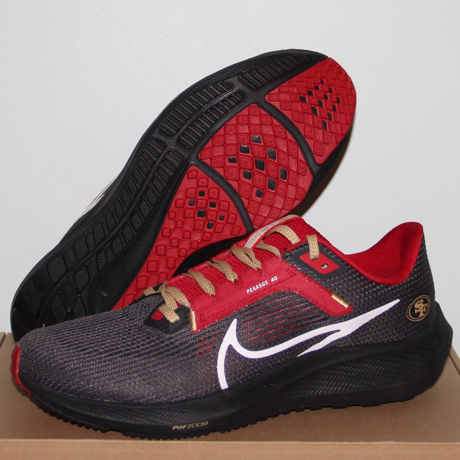49ers air pegasus