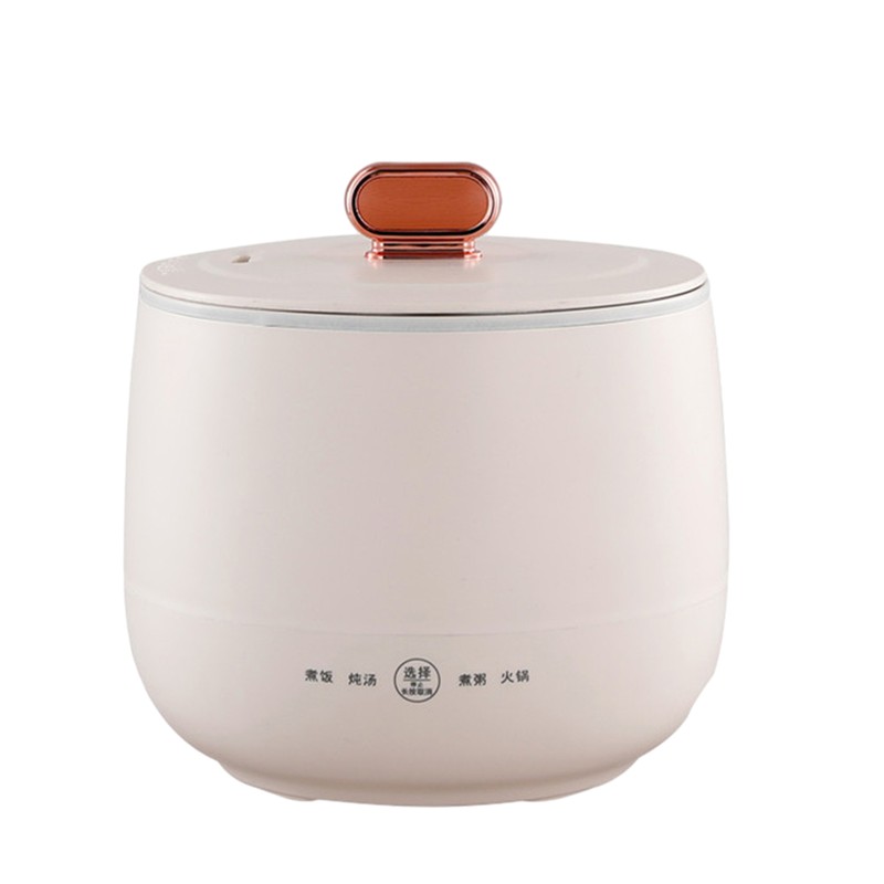 Small Electric Cooker Pot 110V/220V Rice Cooker Steamer With