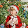 RUSPEPA Christmas Car Wrapping Paper Roll for Boys, Mini Roll, Cute Construction Trucks with Santa Hat, Christmas Tree and Gifts Design Gift Wrap for Holiday Party, 17 Inches x 16.4 Feet