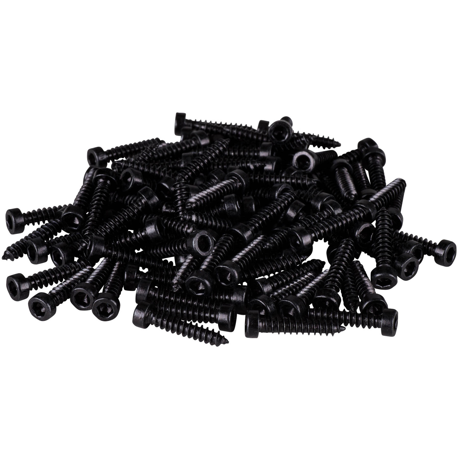 M3 x 16mm Cap Head Wood Screws Black 100 Pcs. 848864017785 eBay