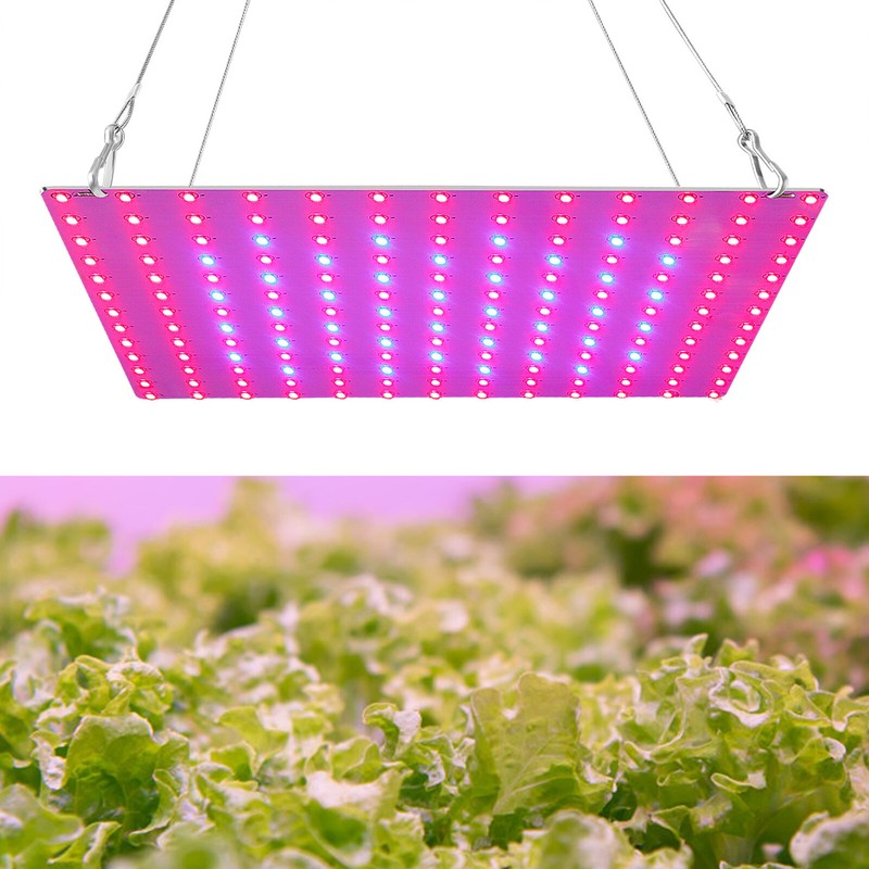 Pflanzenlampe Vollspektrum Led GewÃ¤Chshaus Lampe Grow Light Wachstumslicht L4y1