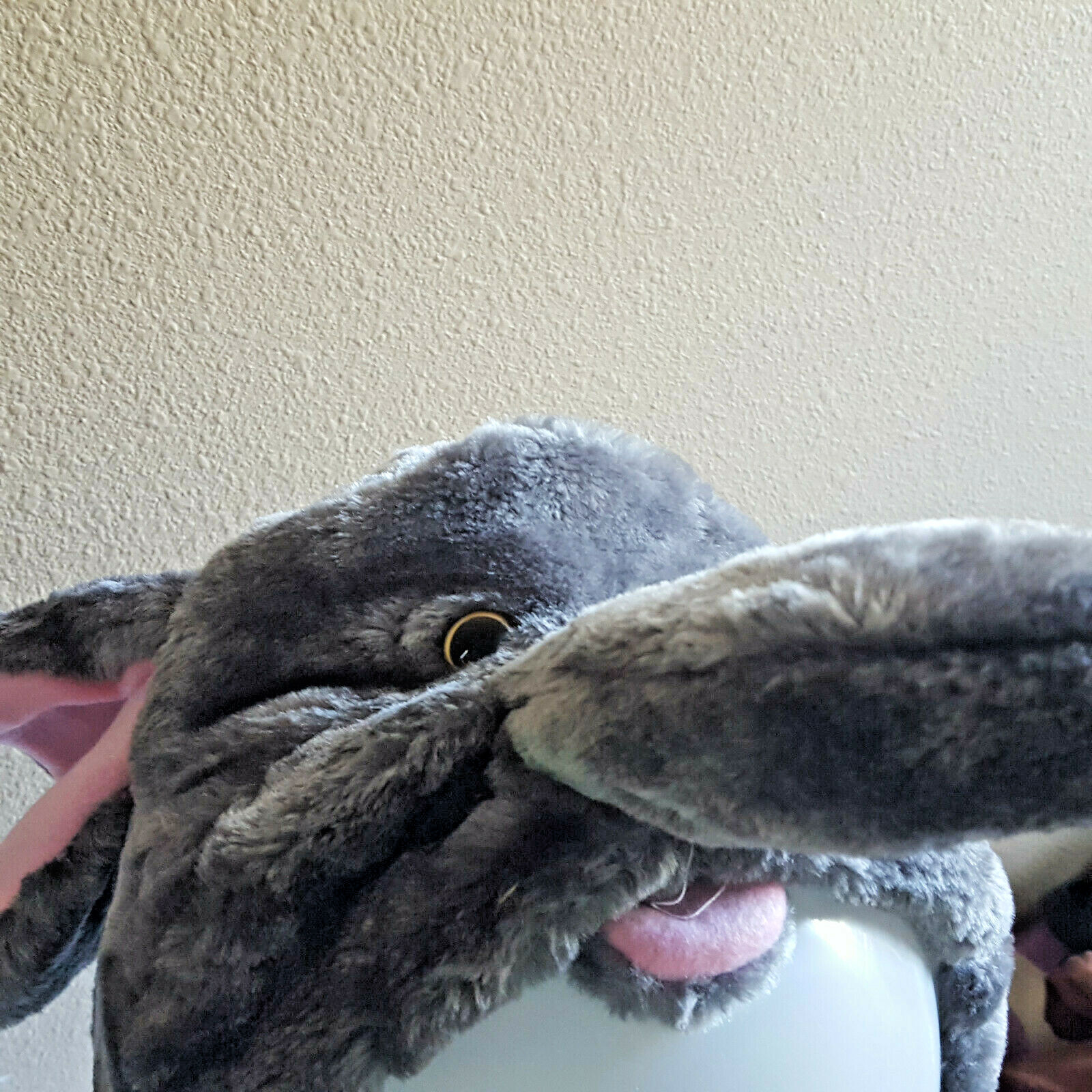 Animal Hoodie Elephant Head Kids Vest Plush Warm Jacket Costume Halloween Child 