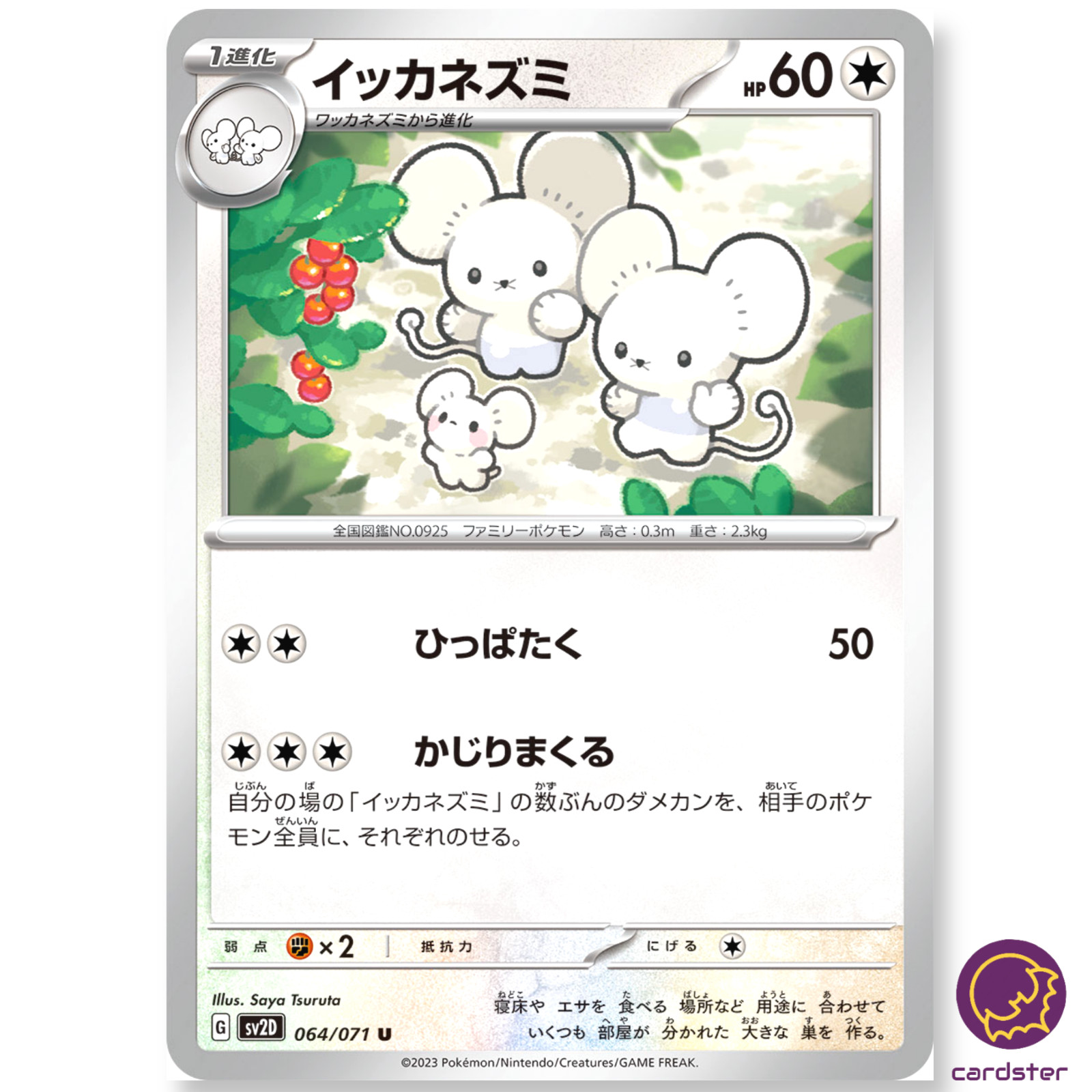 ★PSA10★【イッカネズミ/AR/SV2D】MAUSHOLD 081/071 Maushold U 064/071 SV2D Clay Burst Pokemon Card Japan | eBay