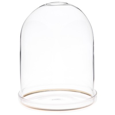 Plymor 4'' x 5.5'' Glass Display Dome Cloche with Gold Rim (Clear Glass Tray Base)
