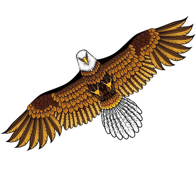 Mint's Colorful Life Bald Eagle Kite for Beginners Kids Adults Easy to Fly