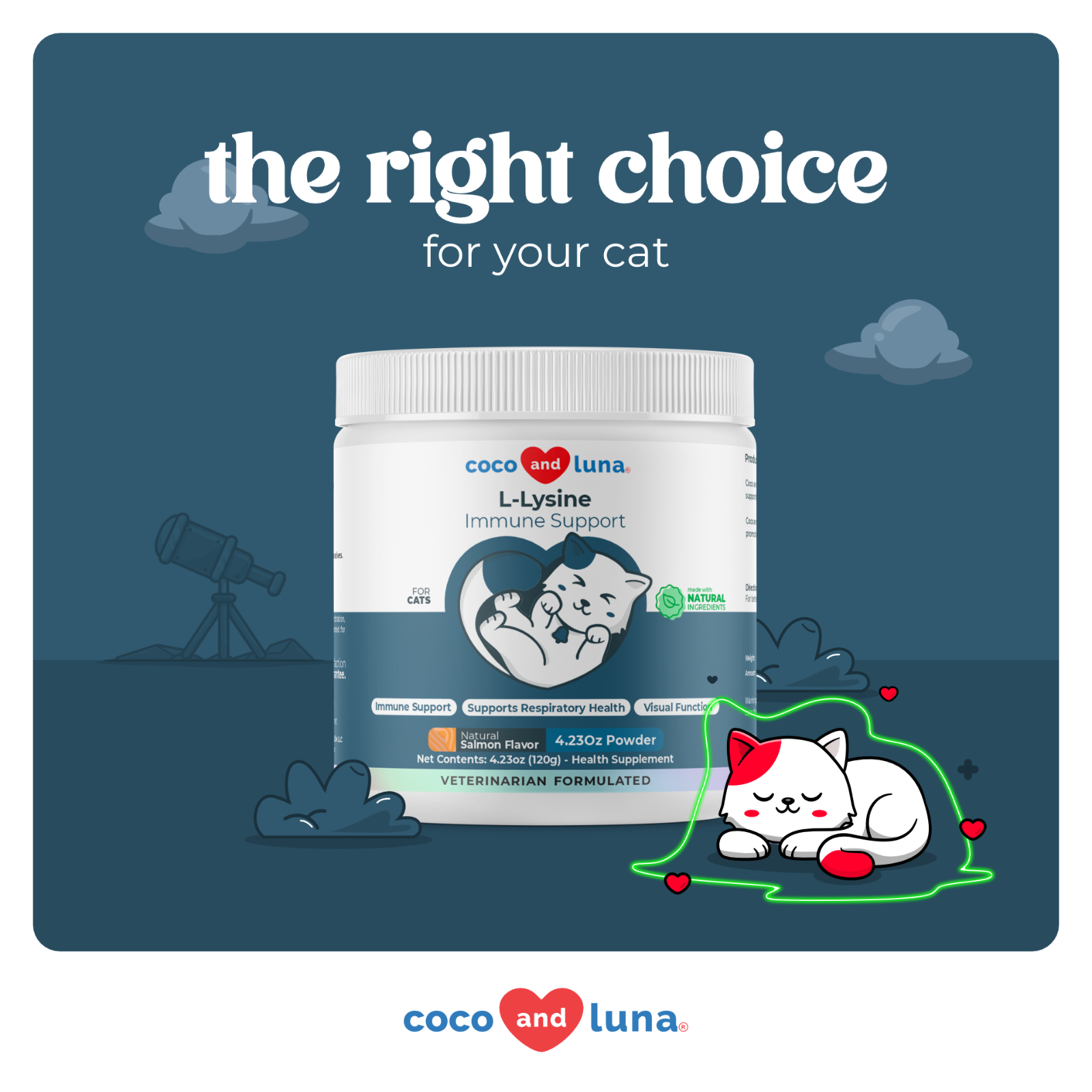 L-Lysine Supplement for Cats for Sneezing and Runny Nose, Cat Cold, Eye Function