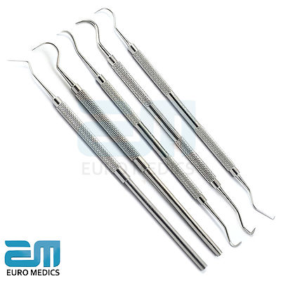 Dental Hygienist dentist lookup Kit Calculus Scraper Teeth Care Student Tools CE