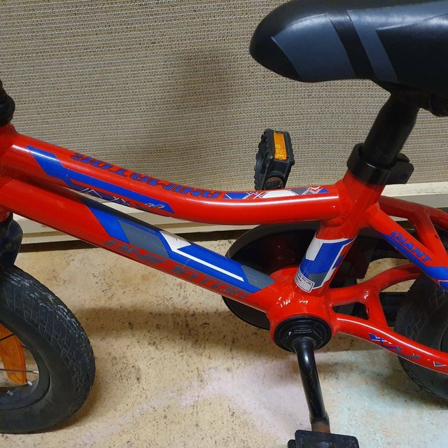 giant animator 12 inch bike