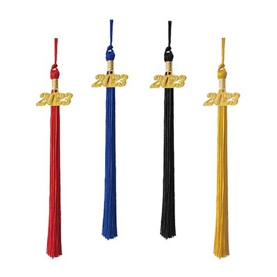 10x 2023 Graduation Tassels Souvenir 15" pour les cérémonies de remise des